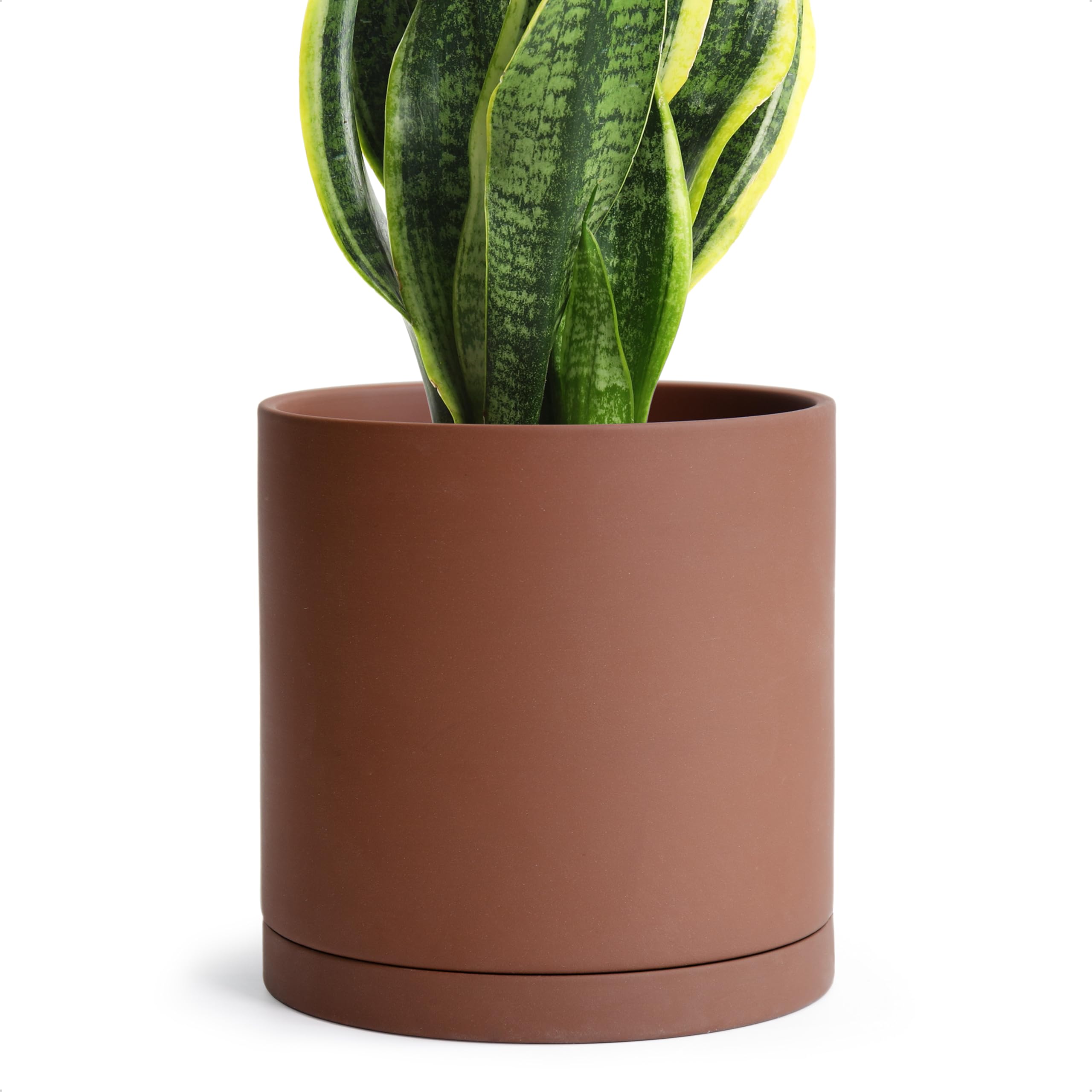 Amazon.com : D'vine Dev 6 Inch Rust Terracotta Plant Pot