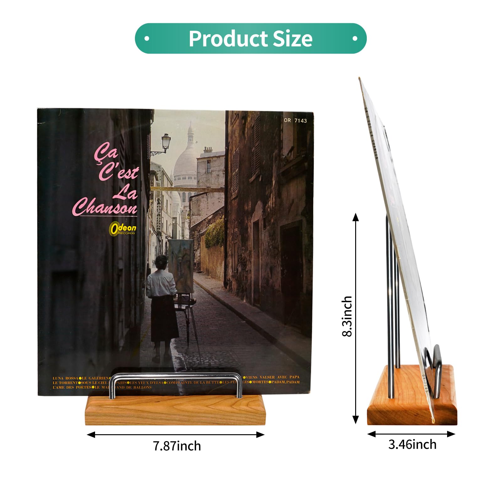 Supporto Per Dischi In Vinile Acrilico - Espositore Per Fino A 50 Album