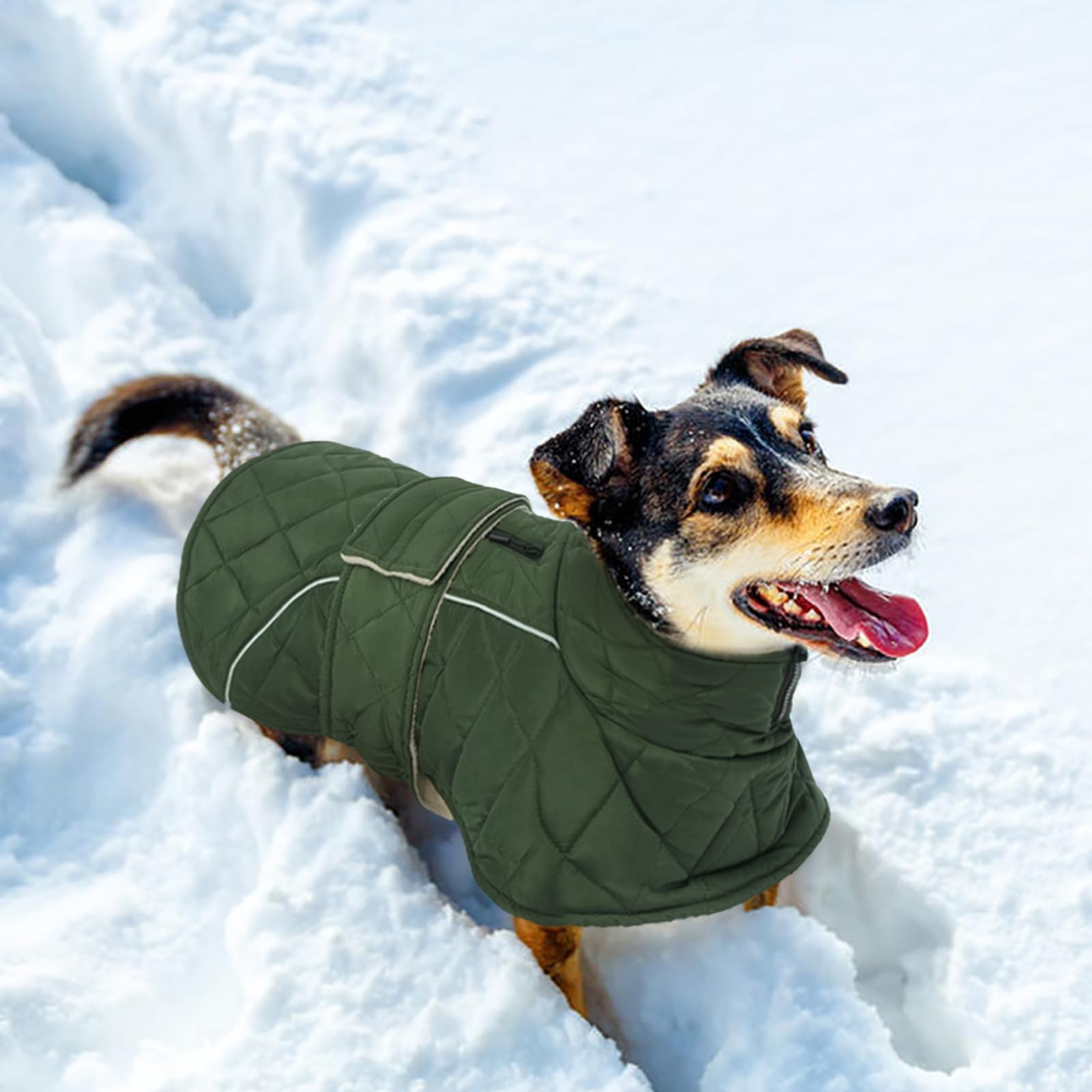 Kuoser Hundemantel für Mittelgroße Große Hunde, Hundejacke Wasserdicht Warm, Wintermantel mit Hohem Kragen & Klettverschluss, Elastischer Bauch, XL Grün