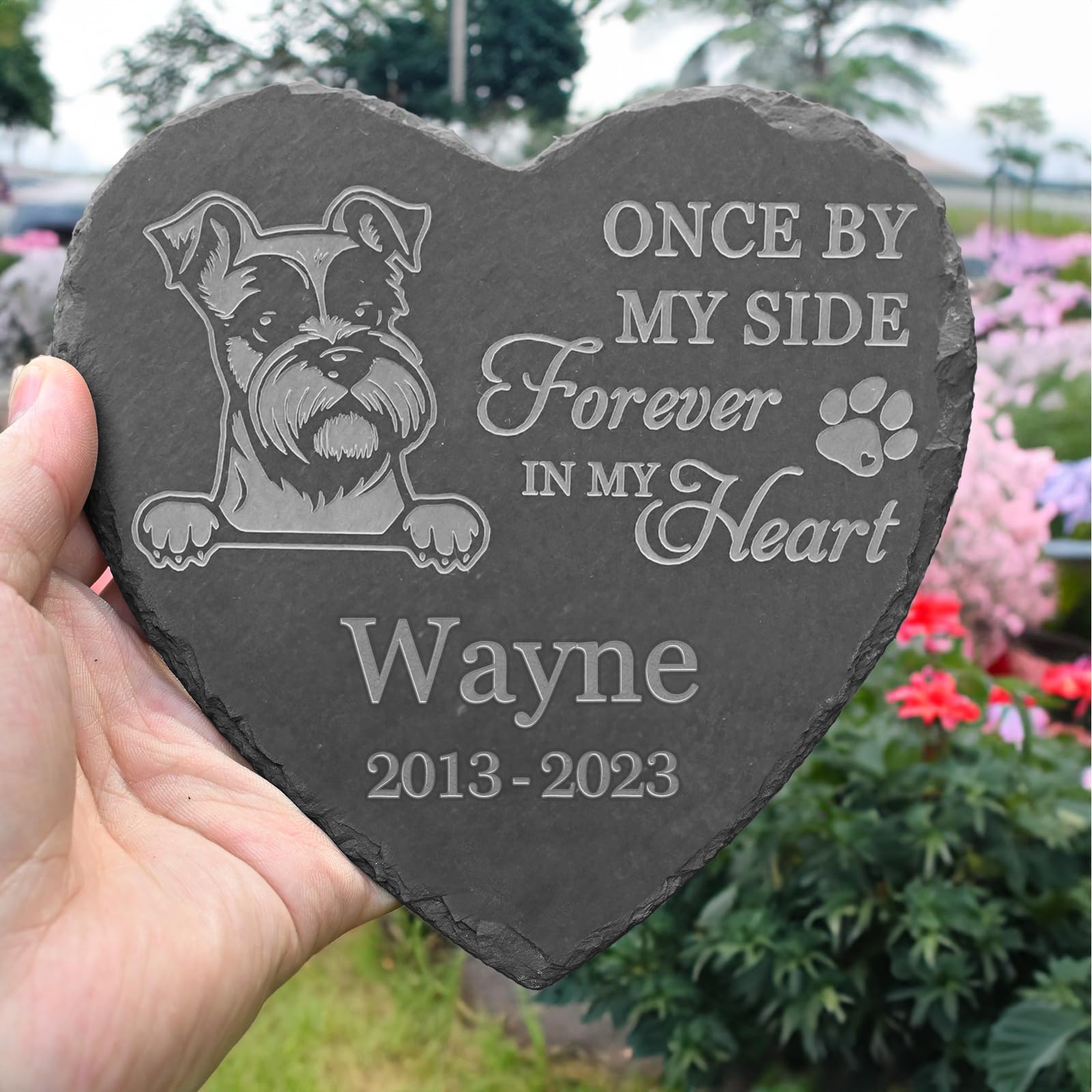 VAPCUFF Personalized Miniature Schnauzer Memorial Stone, Miniature Schnauzer Outdoor Memorial, Miniature Schnauzer Loss, Miniature Schnauzer Passed Away, in Memory of Miniature Schnauzer