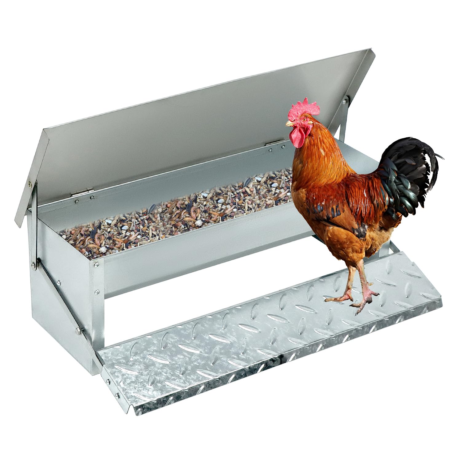 QWORK® Mangiatoia Automatica per polli - capacità 5 kg - Design Inclinato Interno - Coperchio in Acciaio Inossidabile e Pedale Antiscivolo (56x18x18 cm)