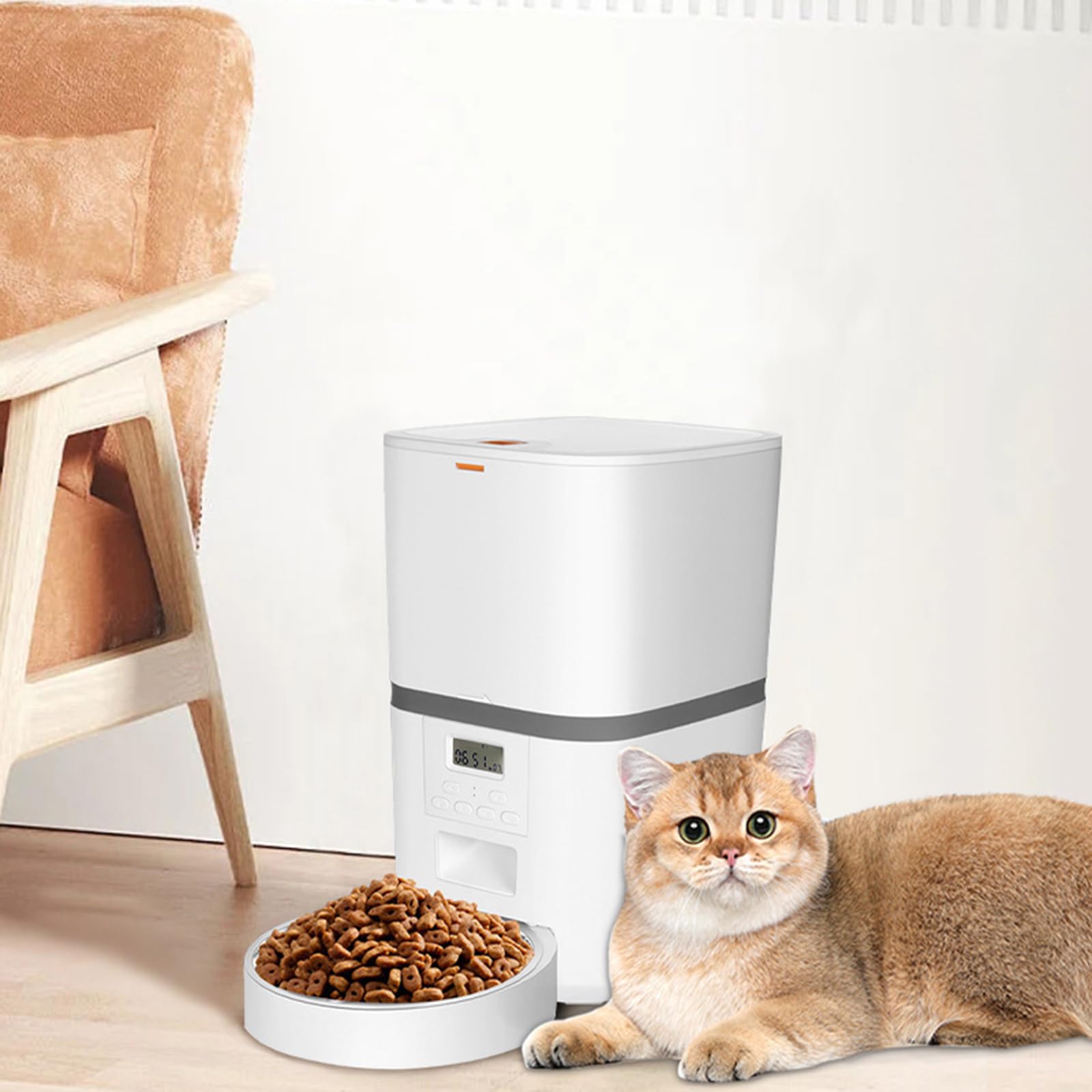Alimentador automático para Gatos, dispensador automático Inteligente de Comida para Gatos de 4 litros con Pantalla LCD para una fácil configuración, grabadora de Voz, diseño sin obstrucciones