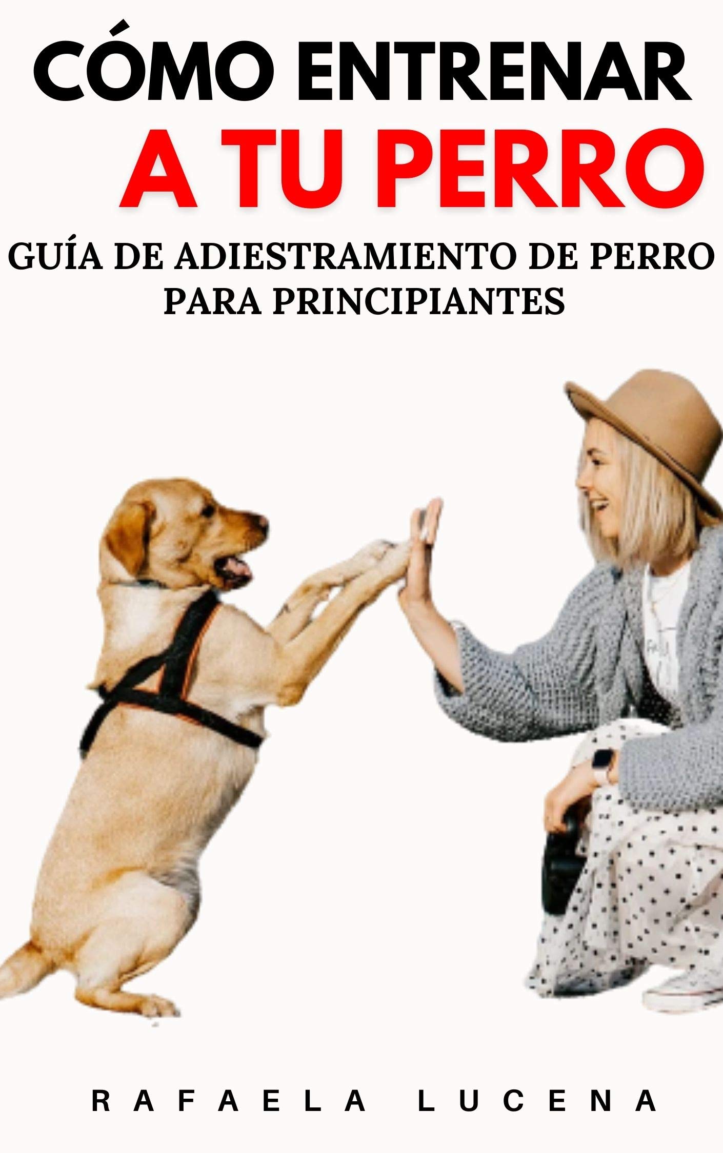 CÓMO ENTRENAR A TU PERRO: Guía de Adiestramiento de Perro para Principiantes