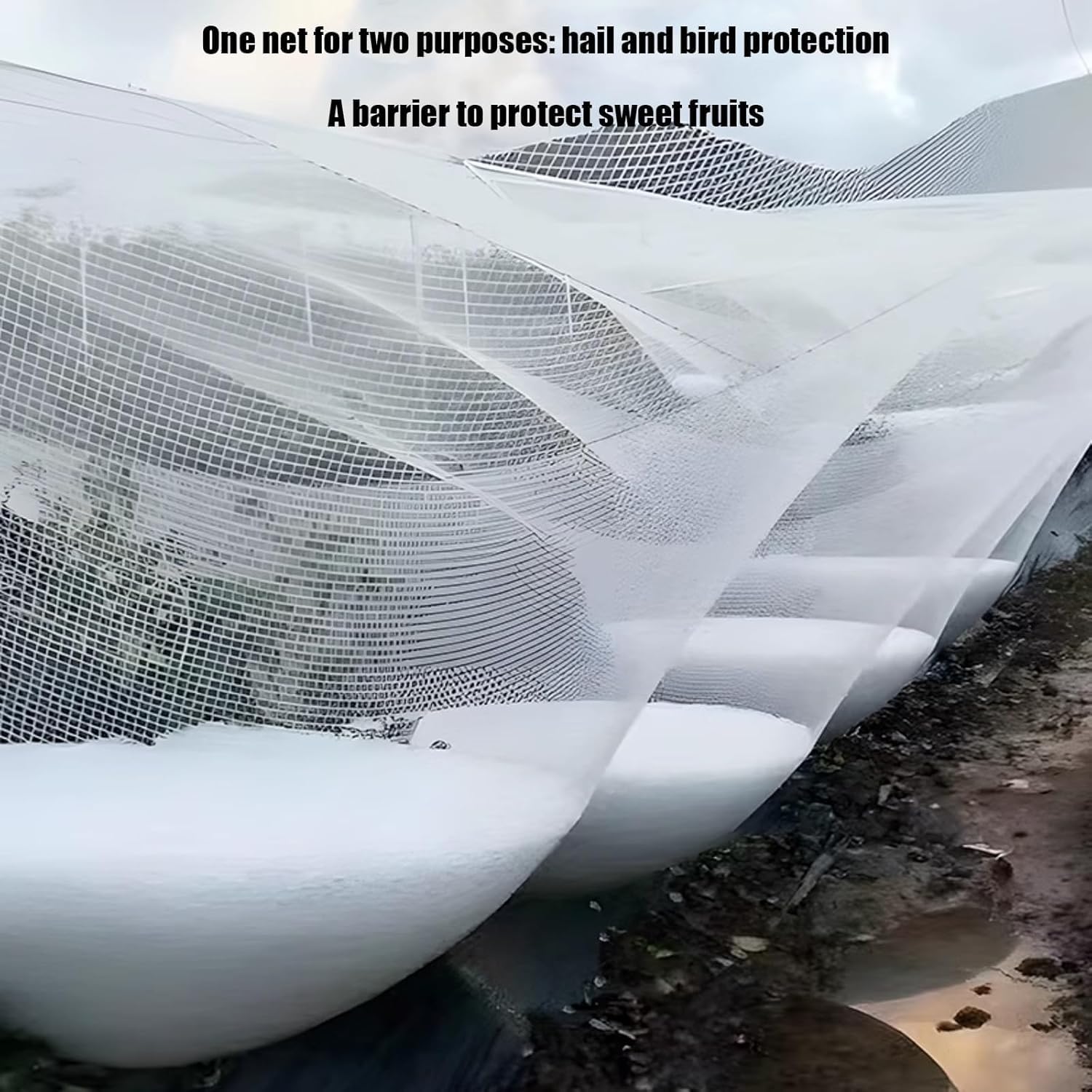 Rete Antigrandine per Giardino, Resistente Copertura per Piante, Ortaggi, Frutta E Fiori, Resistente agli Strappi, Maglia da 5 Mm, Protezione dalle Intemperie per Le Colture, 2M x 20 M