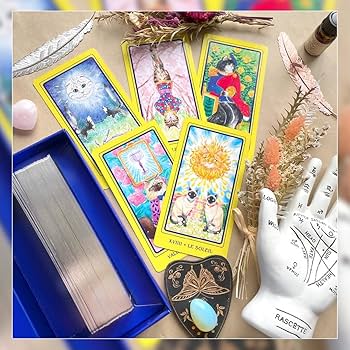 ✨銀縁✨可愛すぎて癒される♡フランスの猫ちゃんタロットカード・オラクルカード Amazon.co.jp: 銀縁可愛すぎて癒されるフランスの猫ちゃん