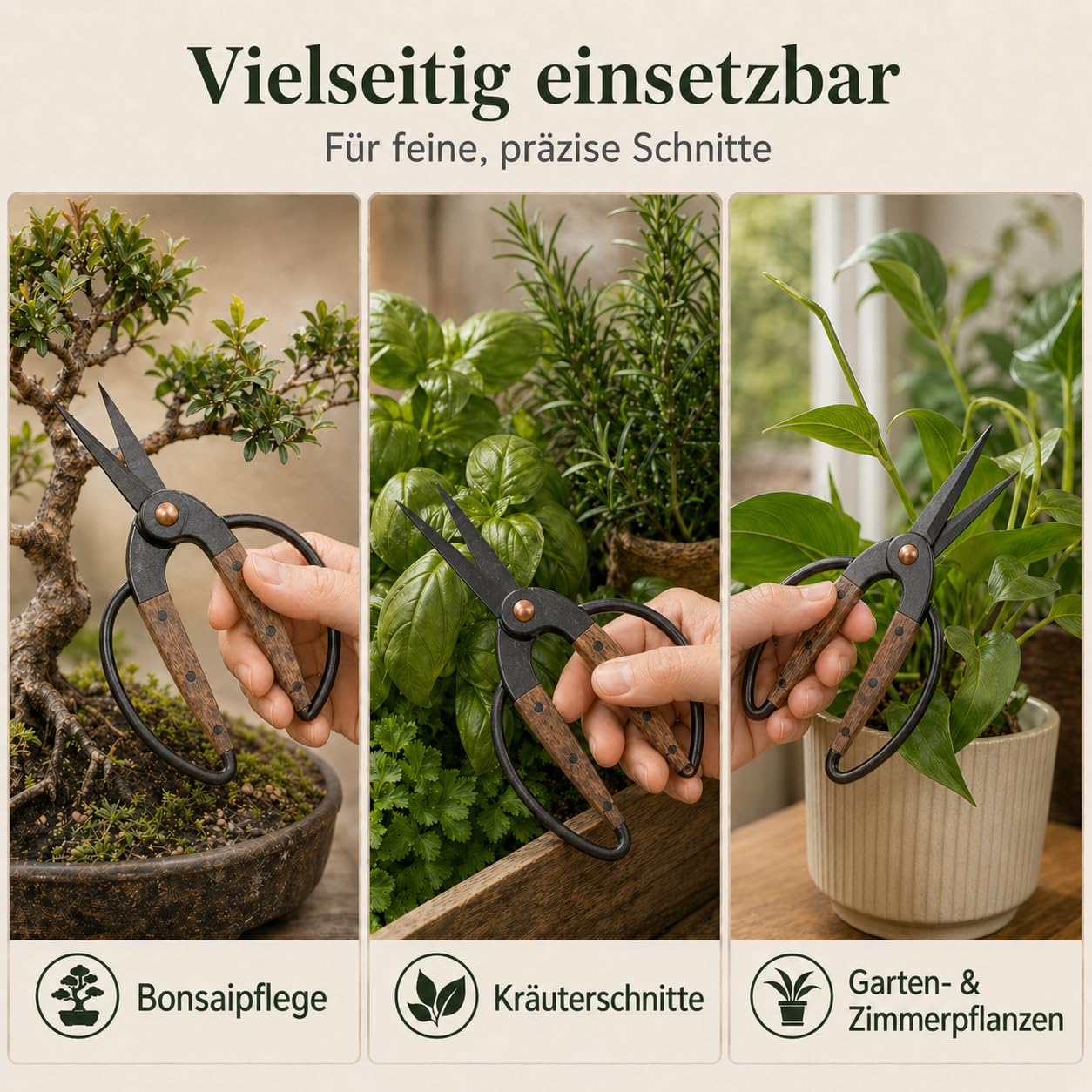 Traditionelle asiatische Bonsaischere, Pflanzenschere, Kräuterschere, Gartenschere, Blumenschere - aus schwarzem Edelstahl mit Walnussholzgriff
