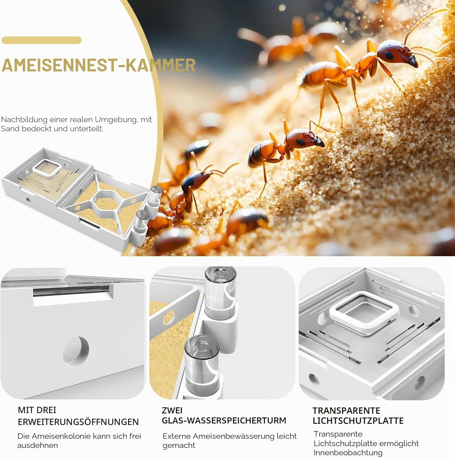 Nest Farm für lebende Ameisen und Königin – Ameisenfarmen mit gelbem Sand Beobachtung Transparente Ameisenfarm für Erwachsene 3D-gedrucktes Nest Ameisenwerkstatt Schloss Ameisengarten Königin (WT2-4)