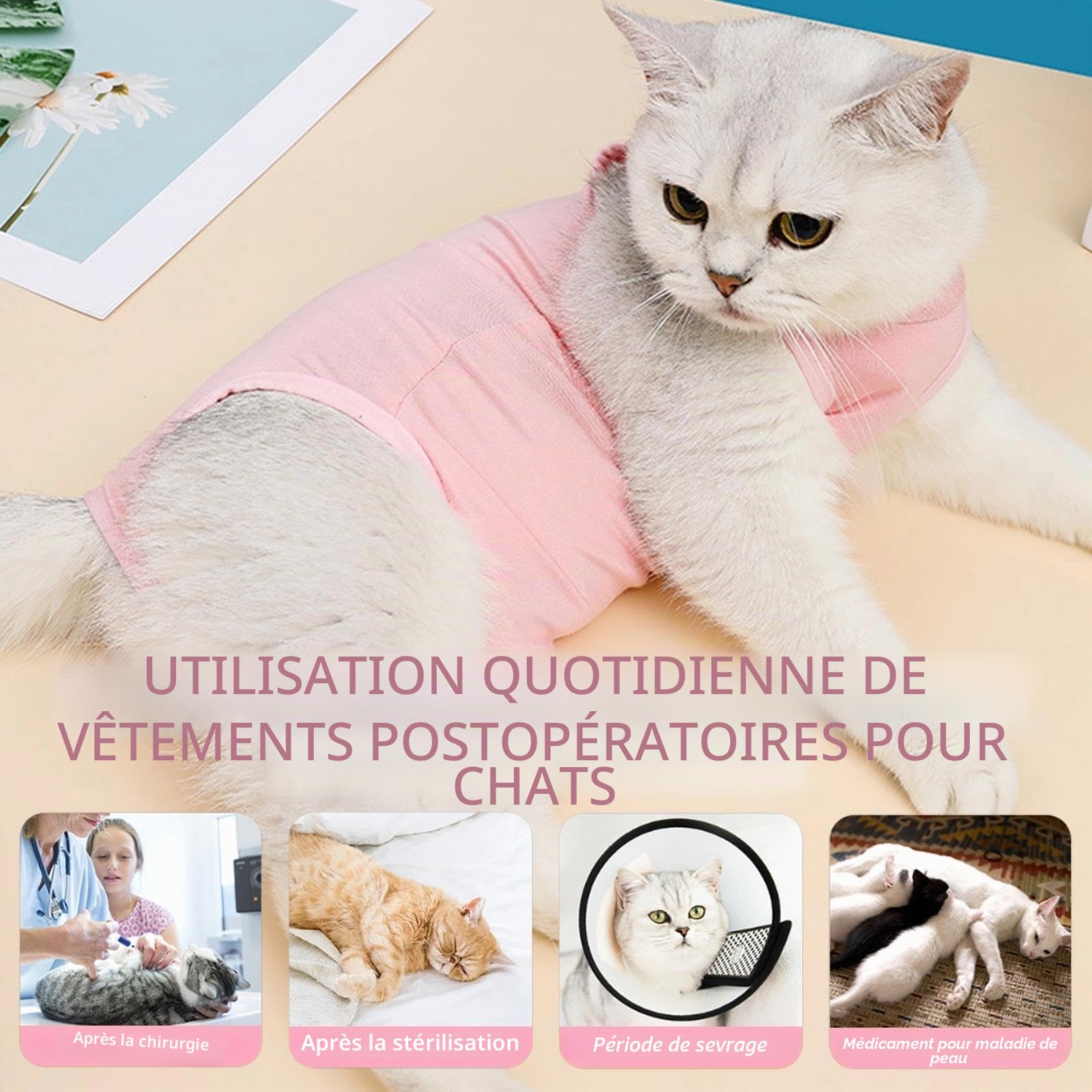 2PCS Gilet de Récupération de Chat,Body Chat Post Opératoire Stérilisation, Combinaison de Récupération pour Chat Anti Léchage， Protection Post-Chirurgie, Contre Les Maladies de Peau -Rose + Bleu(M)