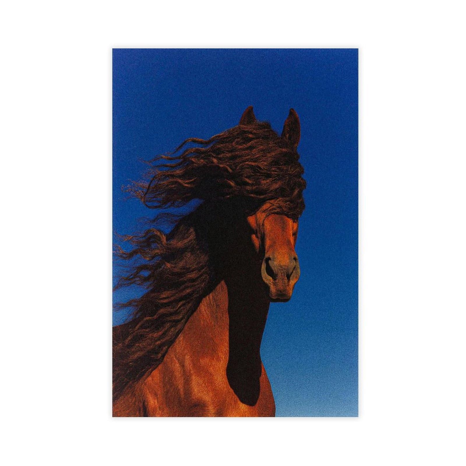 Bareronor Interesting Abstract Horse (7) Canvas Poster Bedroom Decor Landscape Office Room Decor Gift 20" L X 30" W