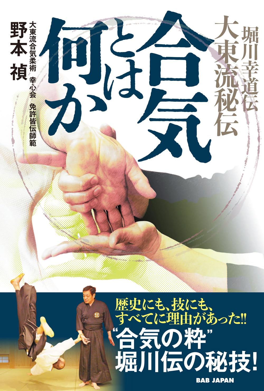堀川幸道伝大東流秘伝 合気とは何か | 野本禎 |本 | 通販 | Amazon