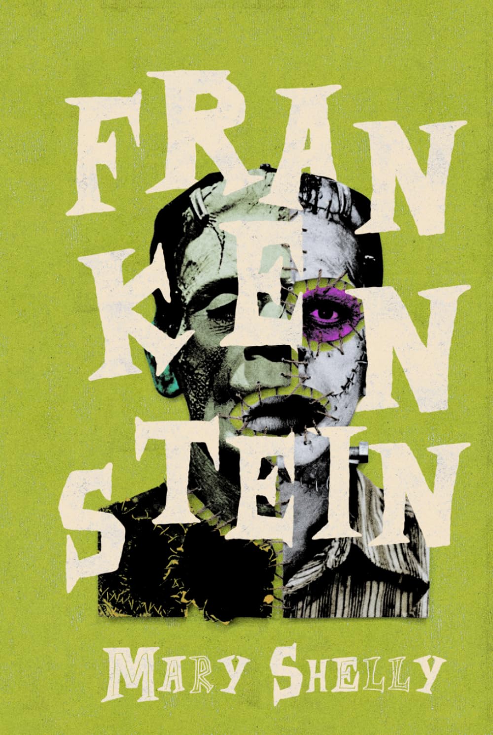 Frankenstein: A Collector's Edition Featuring Original Illustration's and Mary Shelley's Biography