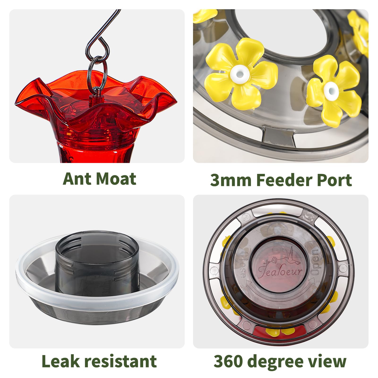 Jealoeur Hummingbird Feeder - Attract Birds! -7