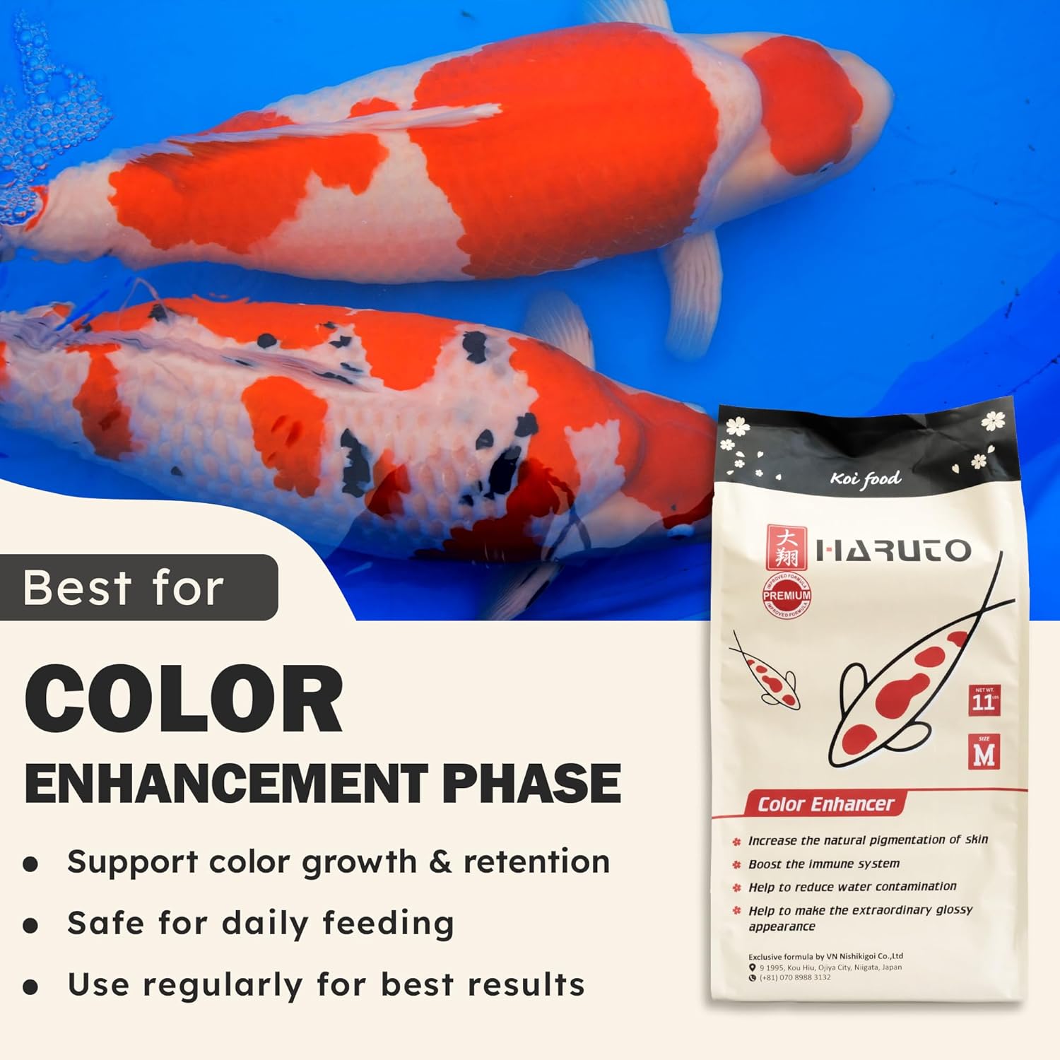 HARUTO Koi Food Color Enhancer 11lb – Floating Pellets with Spirulina & Astaxanthin, Appearance-Focused Formula, Daily Feeding for Koi Fish Ponds