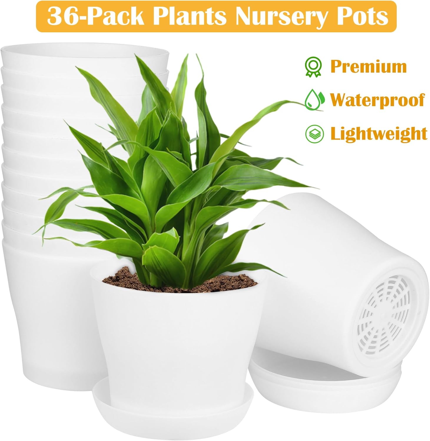 Hahood 36 Pack 5.5 Inch Plastic Plant Pots with Saucers White Flower Plant Container Seed Starting Pots Thickened Seedlings Nursery Pot for Home Garden Indoor Outdoor Flowers
