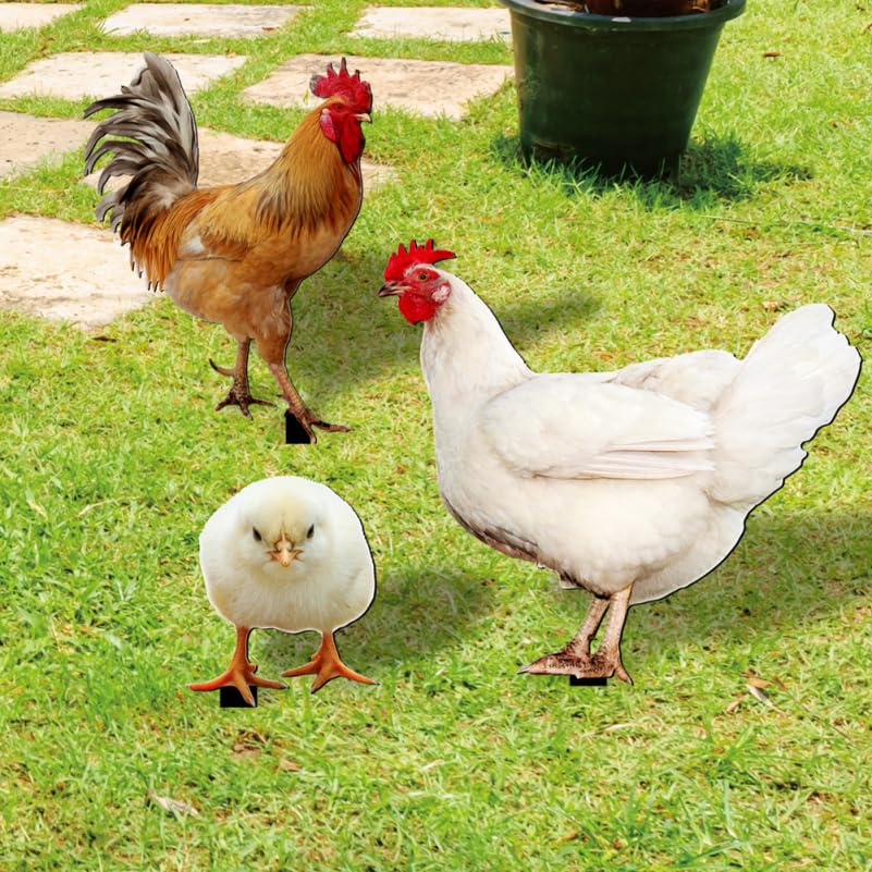 Image of balacoo Garden Chicken Stakes Decorative Rooster Hen Chicks Outdoor Yard Lawn Stakes Acrylic Double-Sided Realistic Chicken Decor