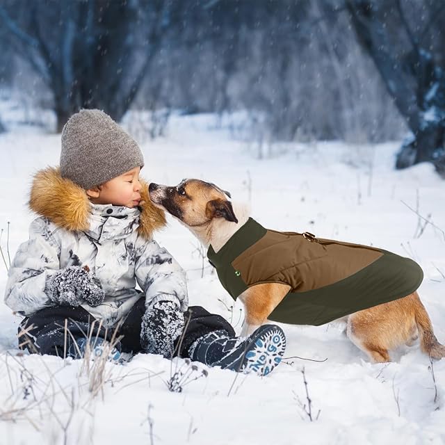 Foto 2 de 6 de PETCUTE Chaqueta de Invierno para Perros, Abrigo para Perros Impermeable con Anillo en D