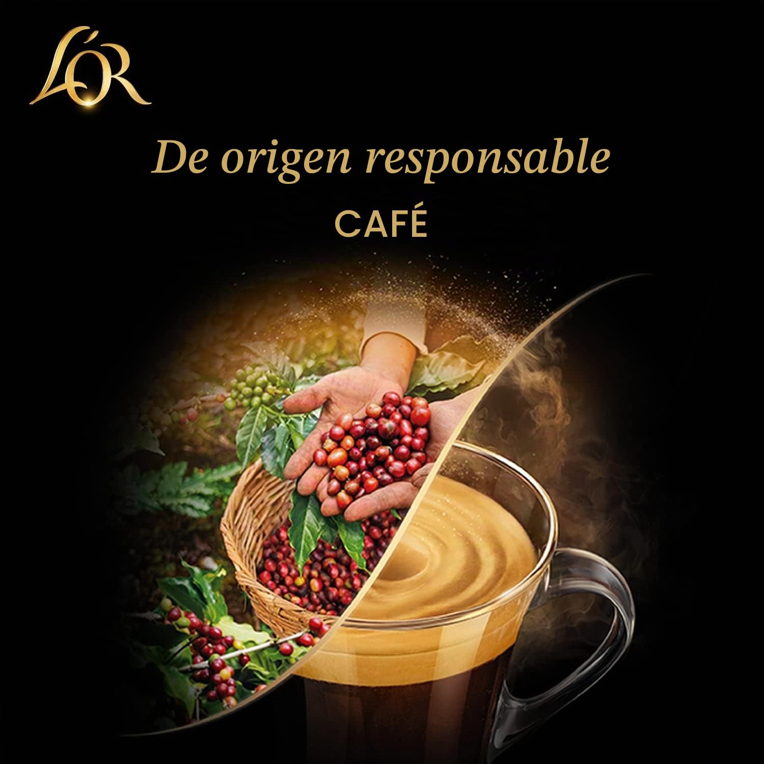 L'Or Espresso Café Forza Intensidad 9 - 100 cápsulas de aluminio compatibles con máquinas Nespresso (10 Paquetes de 10 cápsulas)
