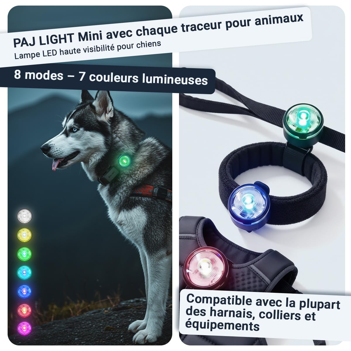 PAJ Traceur GPS 4G Mini + LED pour Petits Chiens, INCL. 3 Mois | Alerte anti-fugue - Suivi en temps réel - 100% étanche - Compatible tous colliers/harnais - Batterie jusqu'à 10 jours