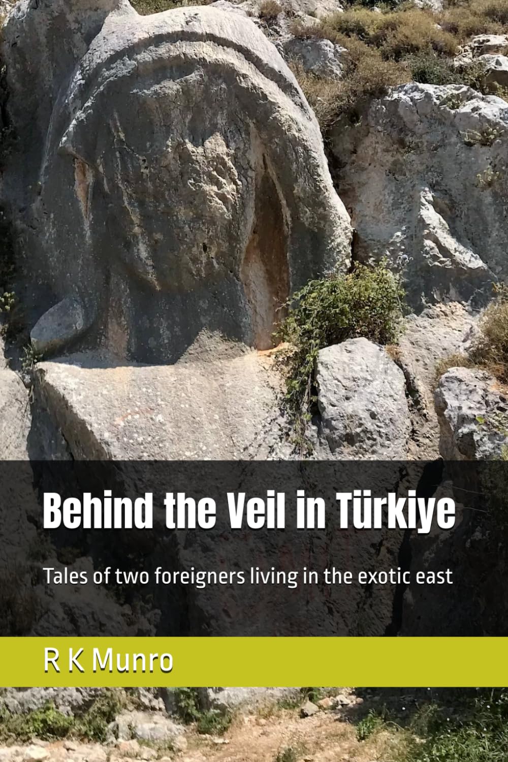 Behind the Veil in Türkiye: Tales of two foreigners living in the exotic east (Life, Laughter and Adventure in the exotic land of Türkiye)