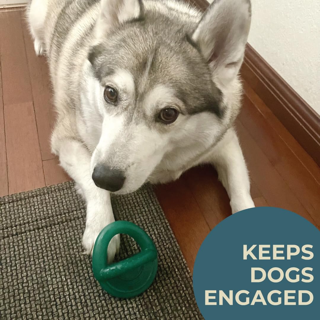Alpha - Chupete - Juguete masticable de goma duradero para perros para entrenamiento - Elige tu color - 6 pulgadas de largo x 3 pulgadas de ancho x 4 pulgadas de alto (verde)