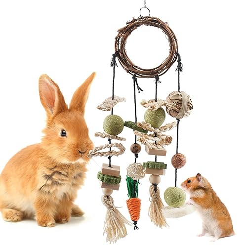 Bissap Bunny Chew Toy, Rabbits Cage Hanging Chew Toys and Treats Christmas Grapevine Wreaths Rattan Ring with Snacks for Guinea Pigs Chinchillas Hamsters Rats and Other Small Pets Teeth Grinding - 1 PCS
