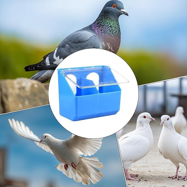 Mangiatoia per piccioni - Dispenser per carichi pesanti di grande capacità | Scatola per alimentazione alimentare per piccioni per parrocchetti, pappagalli, polli, quaglie, pollame, giardino interno e - 5