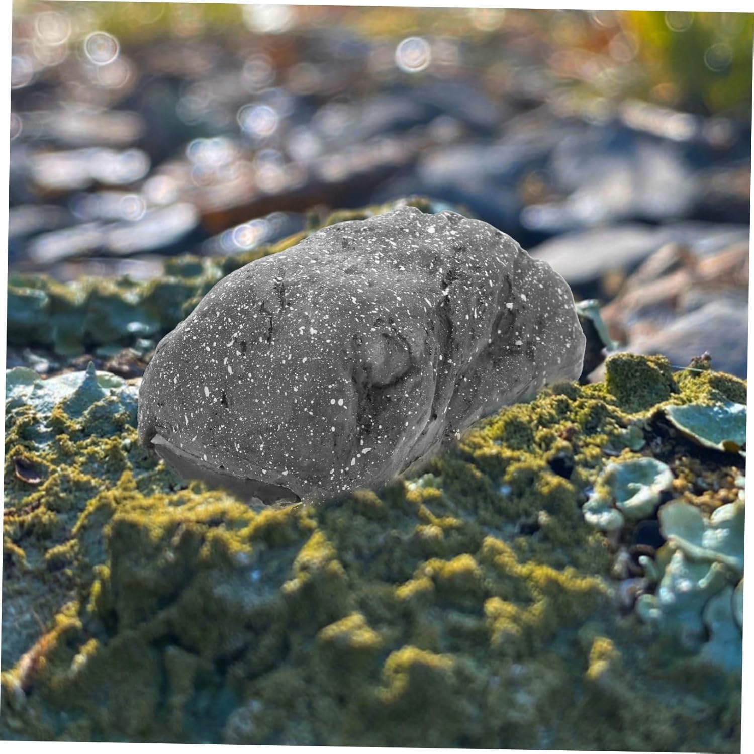 5pcs Outdoor Fake Stone Key Hider Realistic Key Storage Box for Garden Weather Resistant Design Discreet Rock Appearance