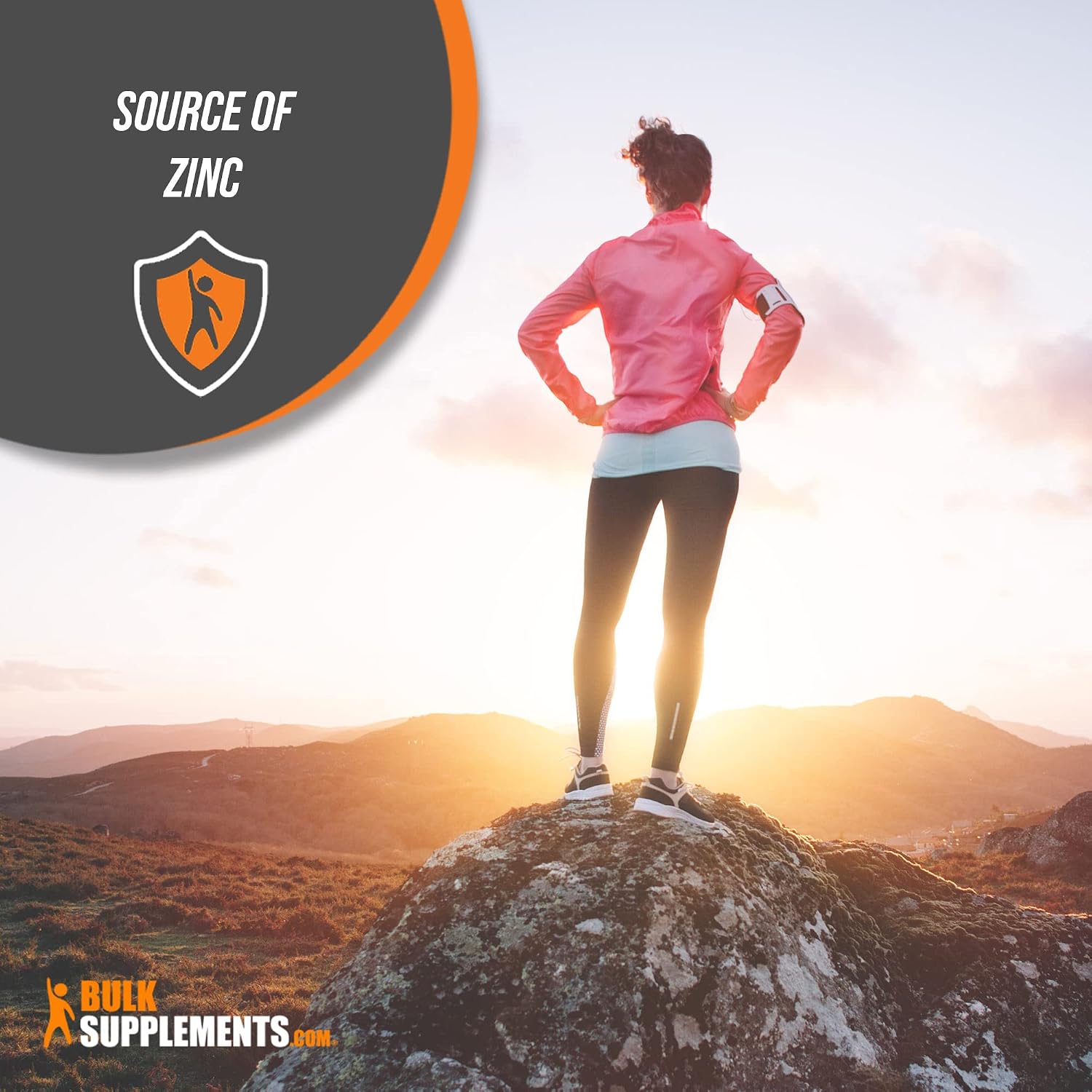 BulkSupplements.com Oyster Extract Powder - Dietary Supplement, Source of Zinc & Protein - Gluten Free - 500mg per Serving