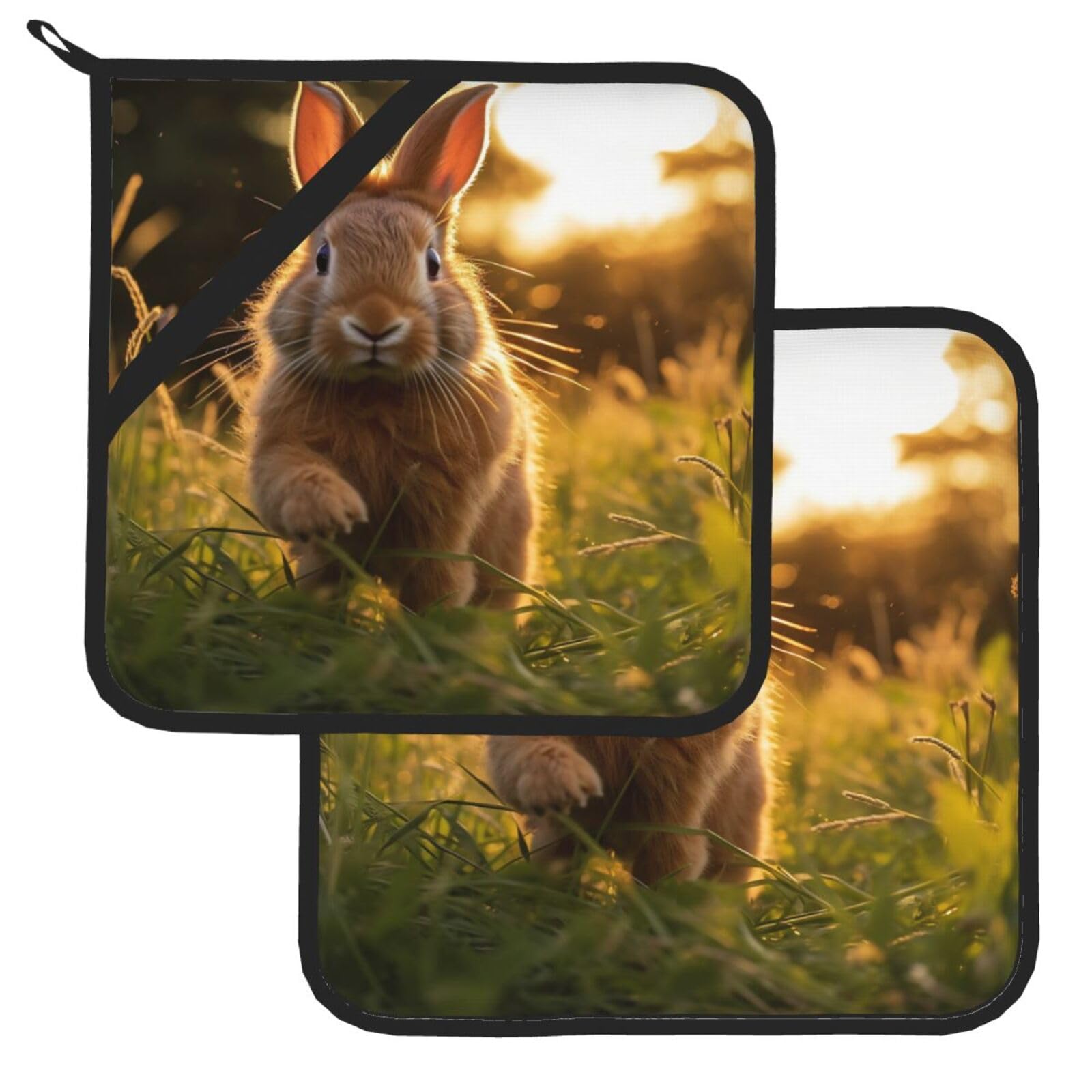 Pot Holder Set of 2 Heat Resistant Kitchen Potholders A Rabbit Pot Holders Kitchen Trivets with Hanging Loops Washable Oven Hot Pads for Cooking Baking BBQ