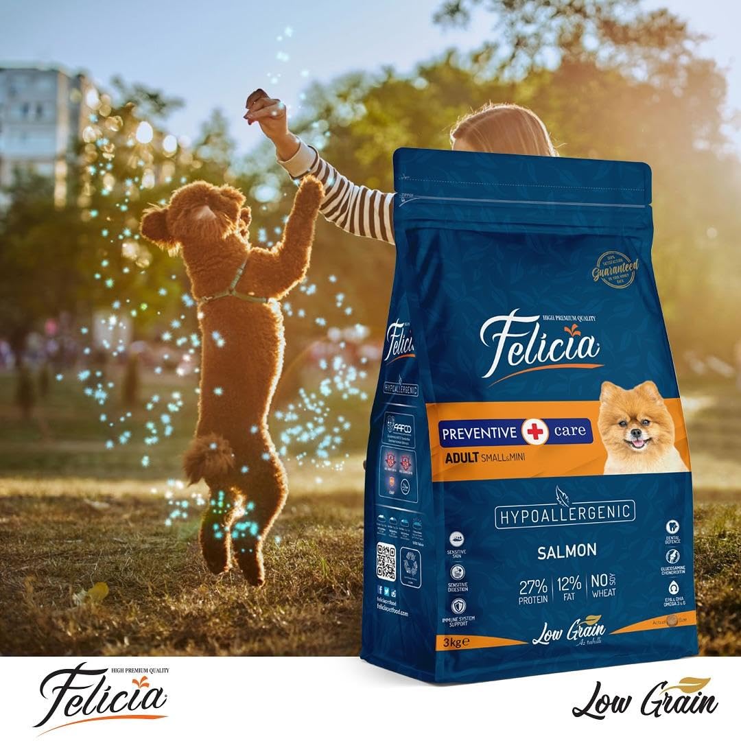 Felicia Az Tahıllı 3 Kg Yetişkin Somonlu Small/Mini HypoAllergenic Köpek Maması