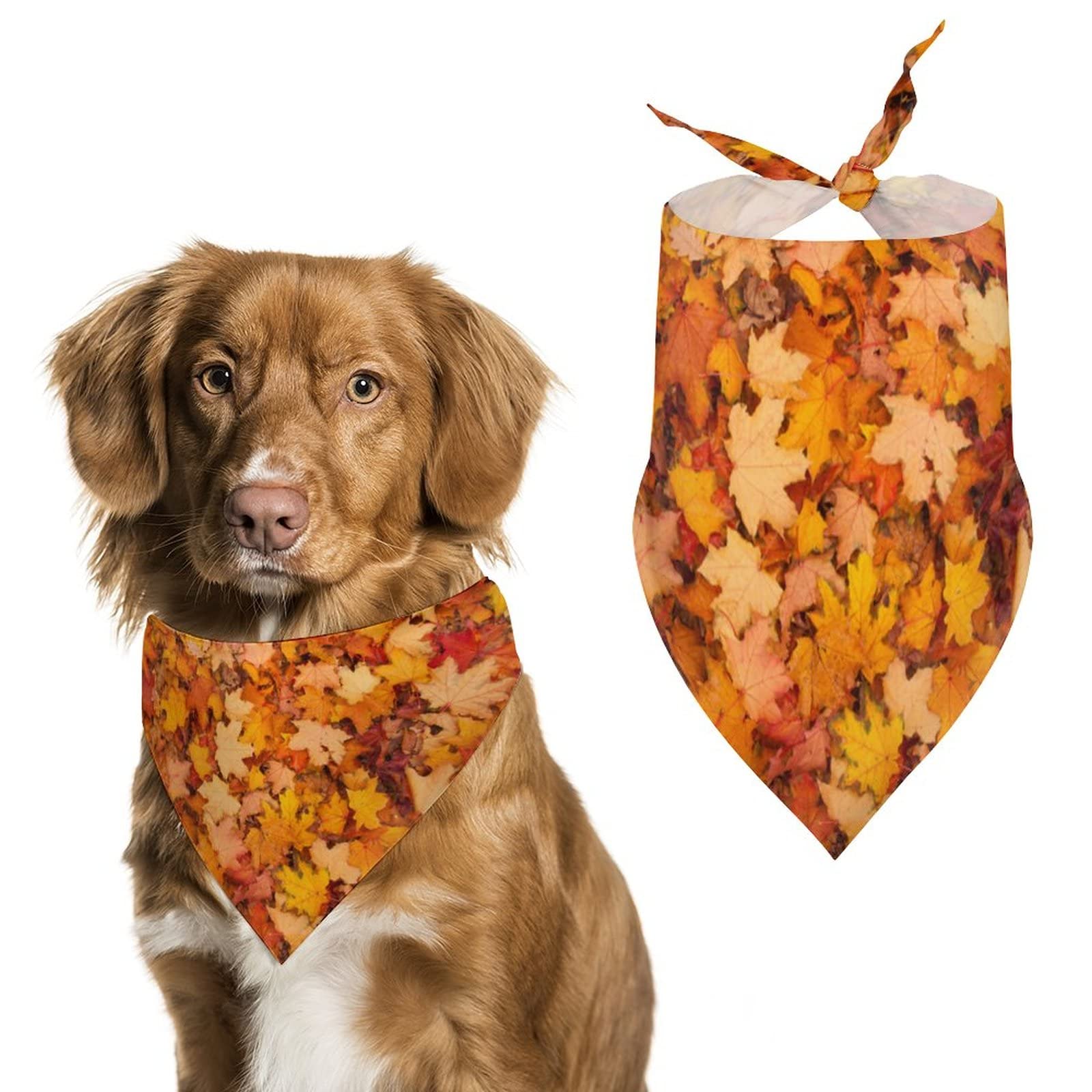 orange dog scarf