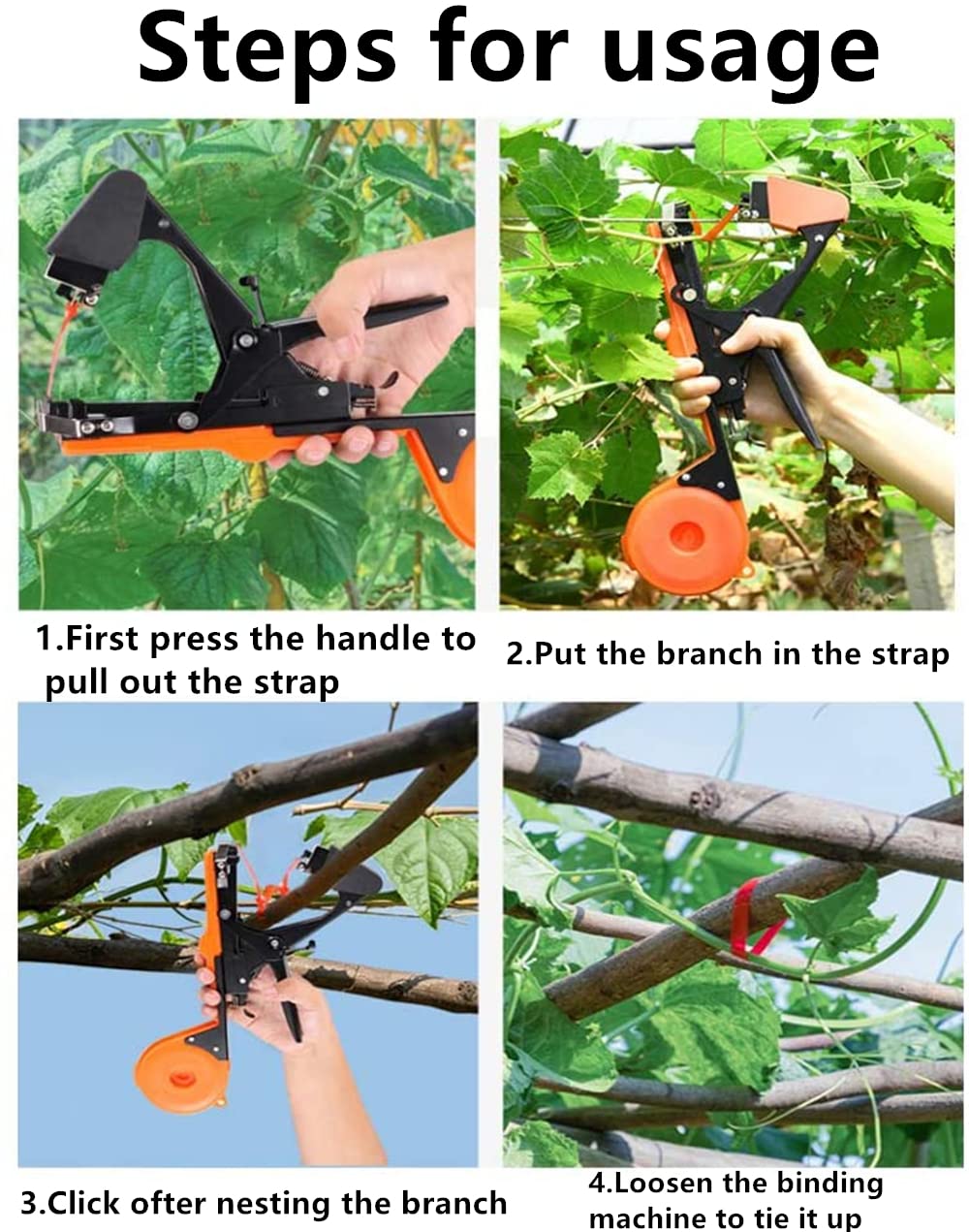 https://m.media-amazon.com/images/I/71mikvJnkaL.jpg