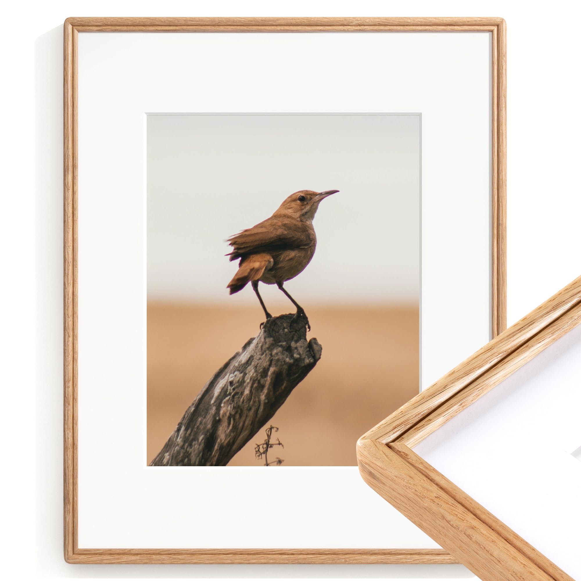 Amazon.com - 16X20 Picture Frame, Natural USA-Sourced Solid Oak