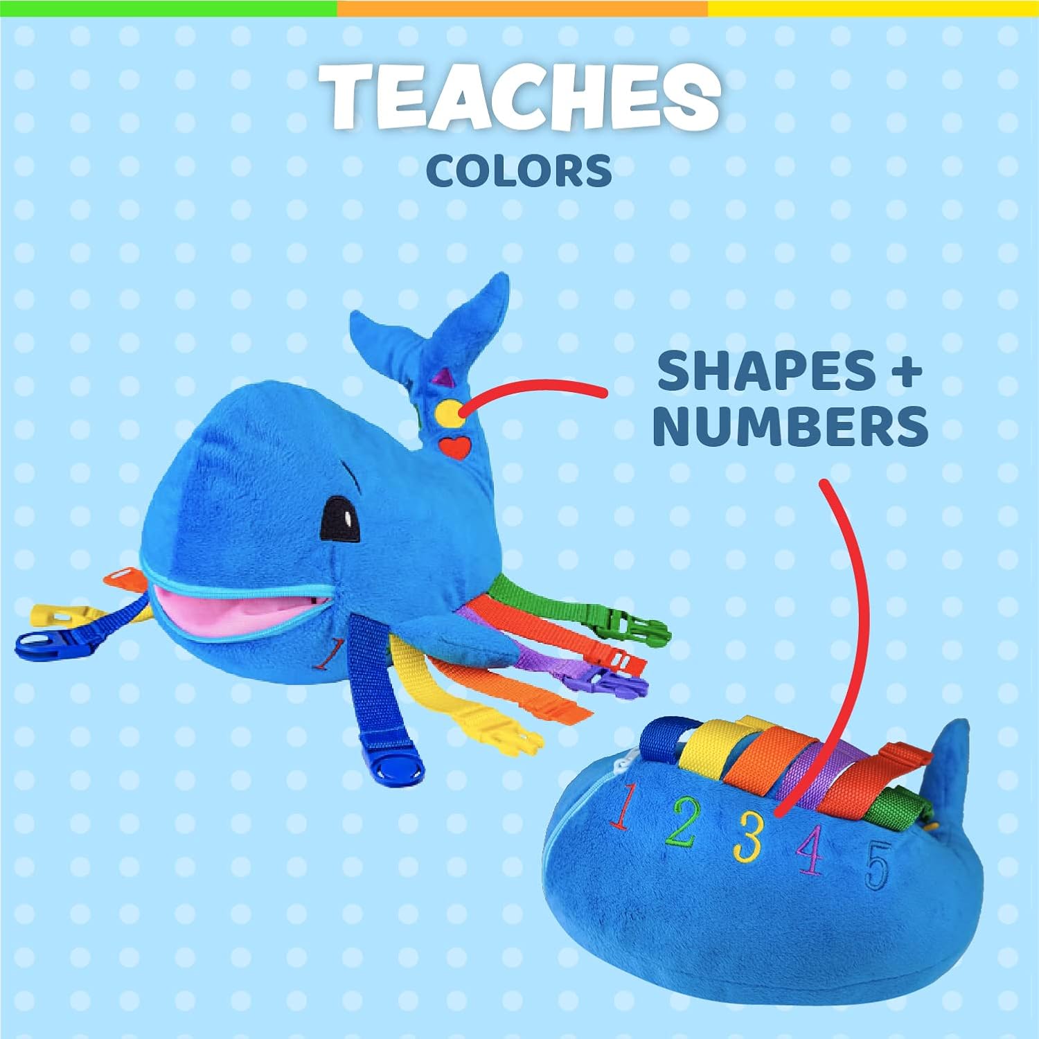 Buckle Toys - Blu Whale and Bubbles Square Bundle
