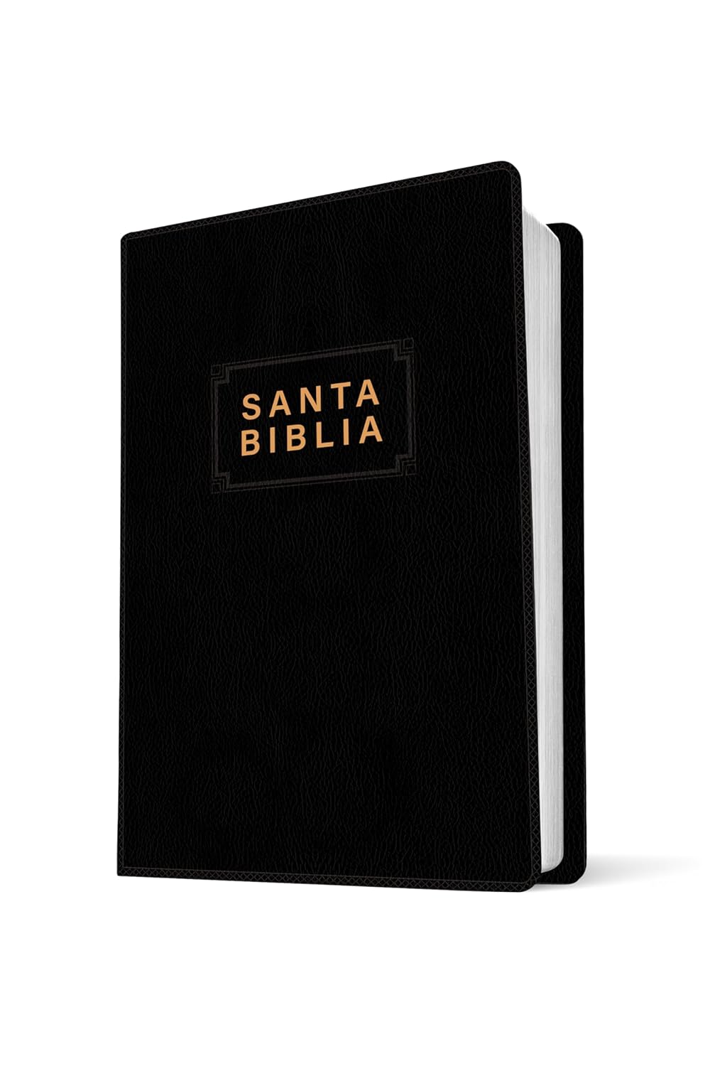 Santa Biblia NTV, Edición premio y regalo (ViniPiel, Negro, Letra Roja) (Spanish Edition)      Paperback – May 20, 2025