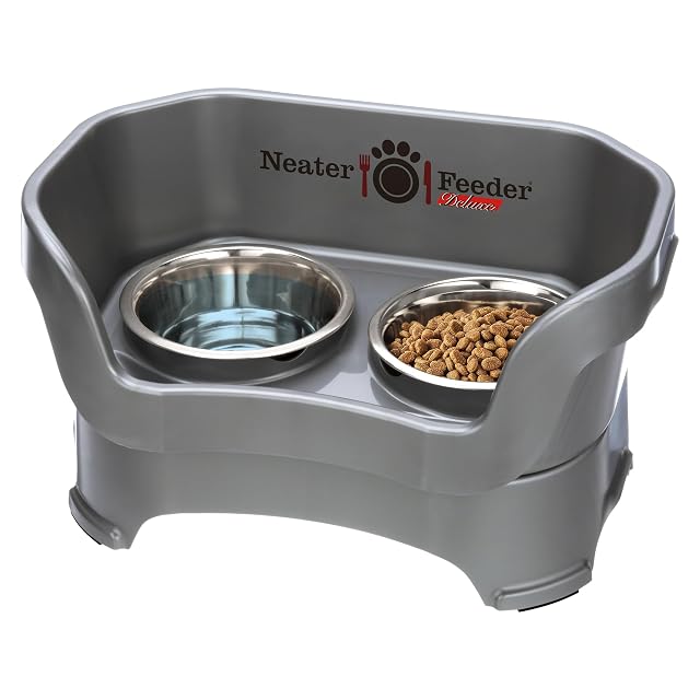 Neater Feeder Deluxe Dog (Mediano, Gris plomizo)