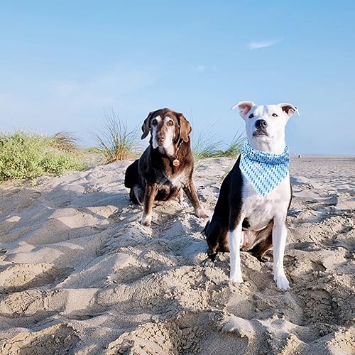Miniatura 5 de Bobo Rainbow Bandana para perro  1 bandana de regalo de cumpleaños para perro, bufanda de verano para perro hembra o macho, accesorios ajustables