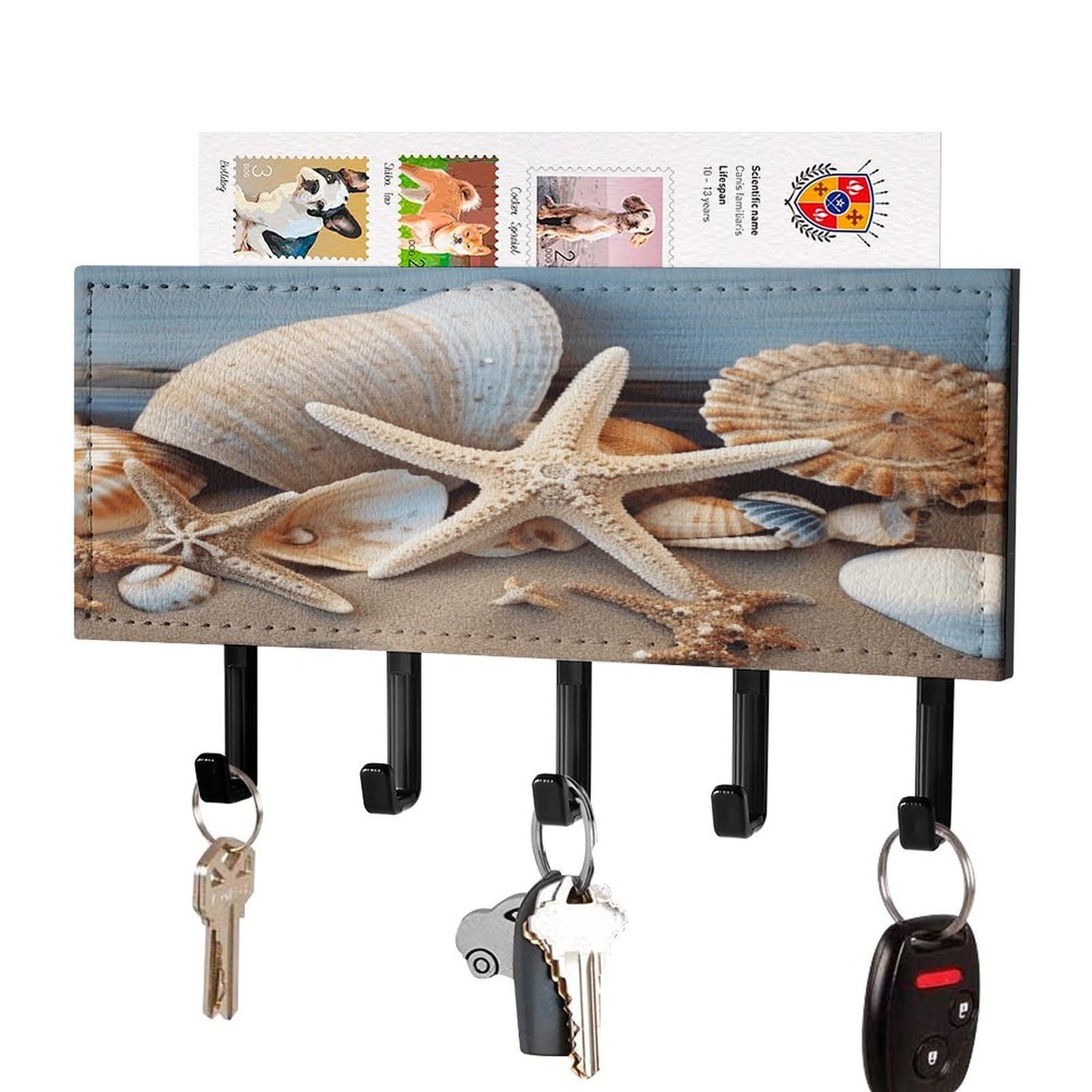 FekiLoot Seashells Starfish Sand Key Holder Wall Mount Key Hanger with 5 Hooks Decorative Key Rack Hanging Key Hooks with Mail Organizer Key Holder for Wall Living Room Kitchen Bathroom Hallway Black