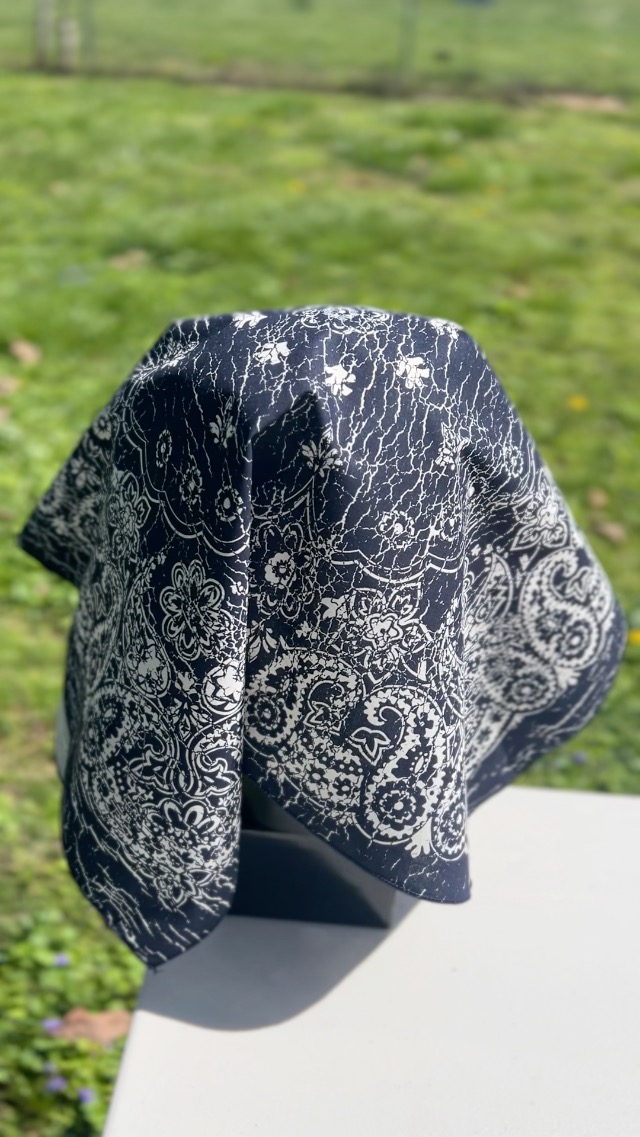 Amazon.com: Hav-A-Hank Rustic Navy & Cream Paisley Bandanna, 27x27