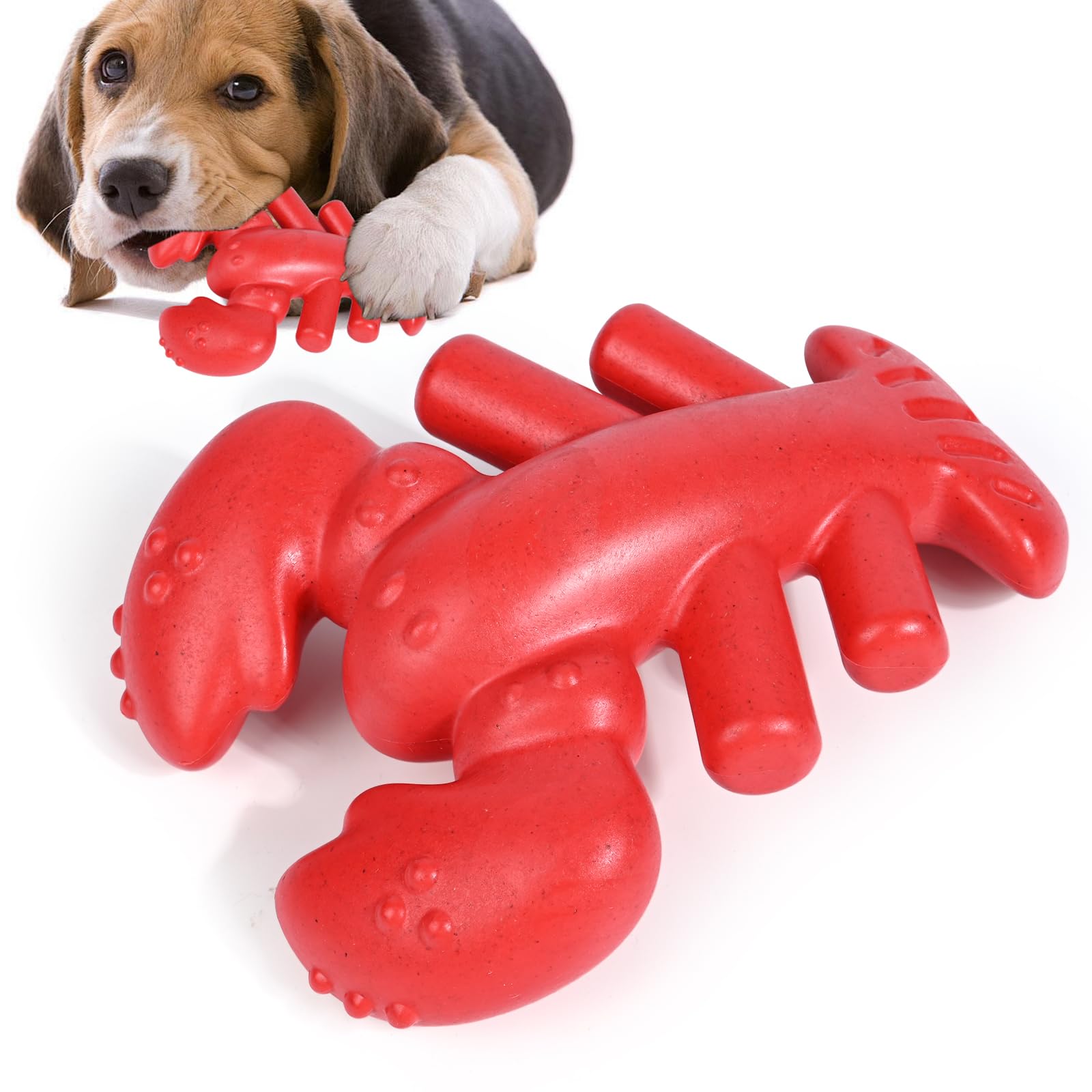 Diealles Shine Juguete Perro Indestructible, Juguetes Interactivos para Perros, Limpieza De Dientes, Resistente Juguetes Morder para Perros, para Perros Agresivo De Medianos, Grandes(Langosta)