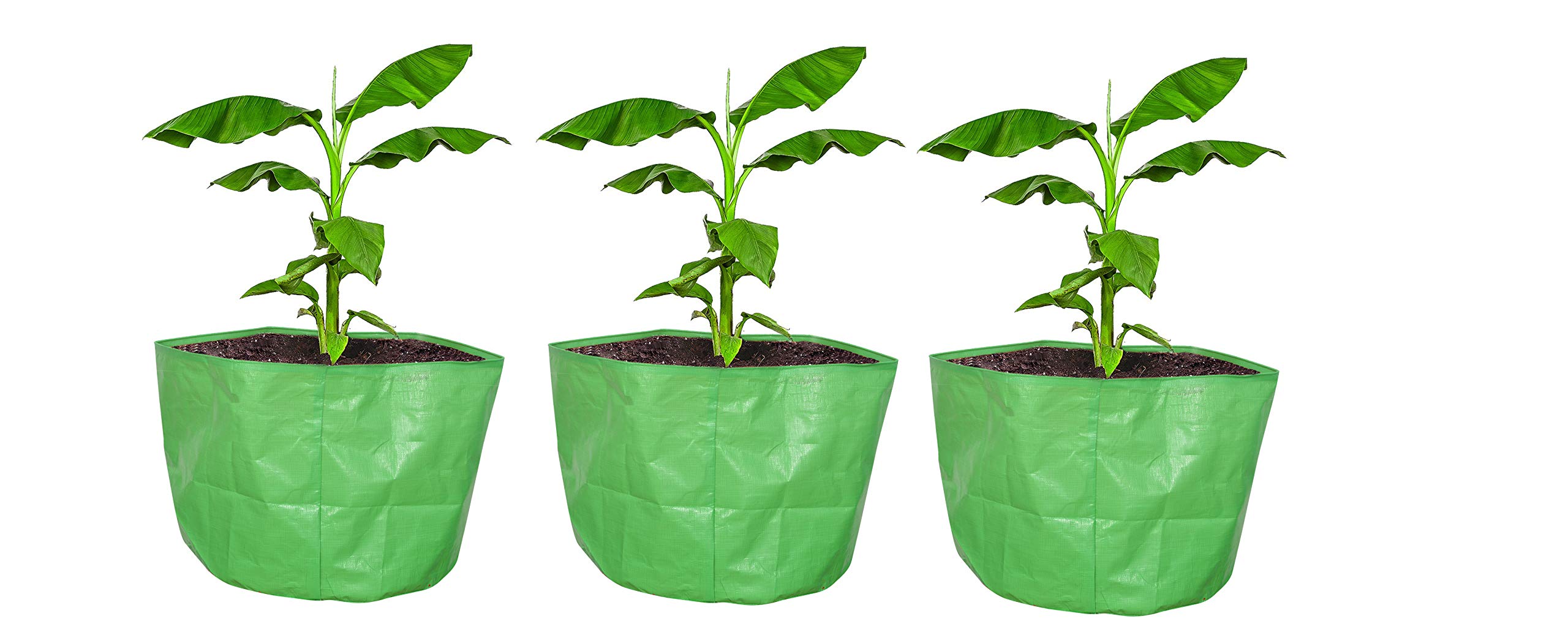 Buy COIRGARDENTerrace Gardening HDPE Grow Bags Bigger Sizes for Banana