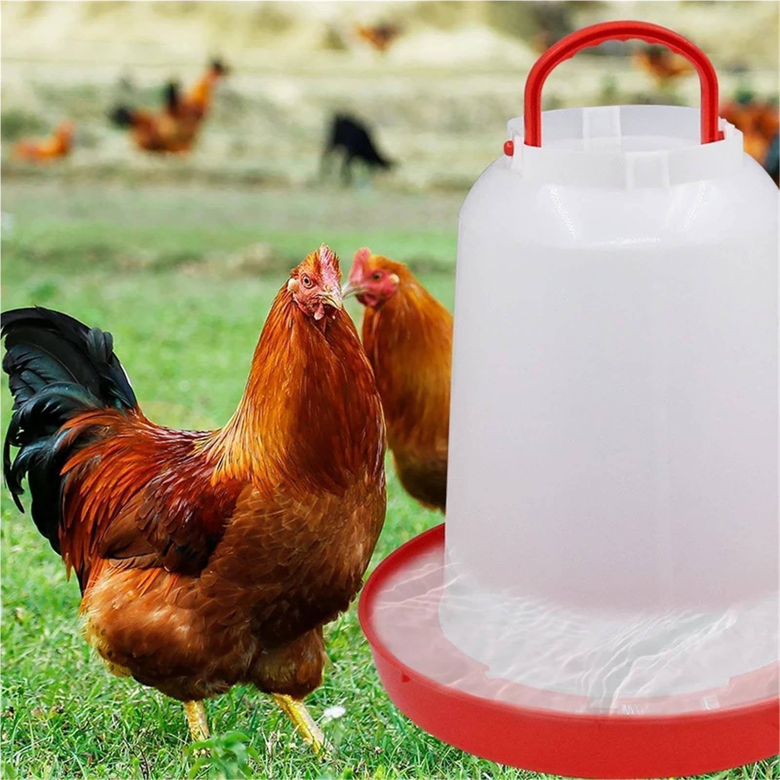 Secchio d'acqua for polli 1-18L Fattoria di plastica automatica