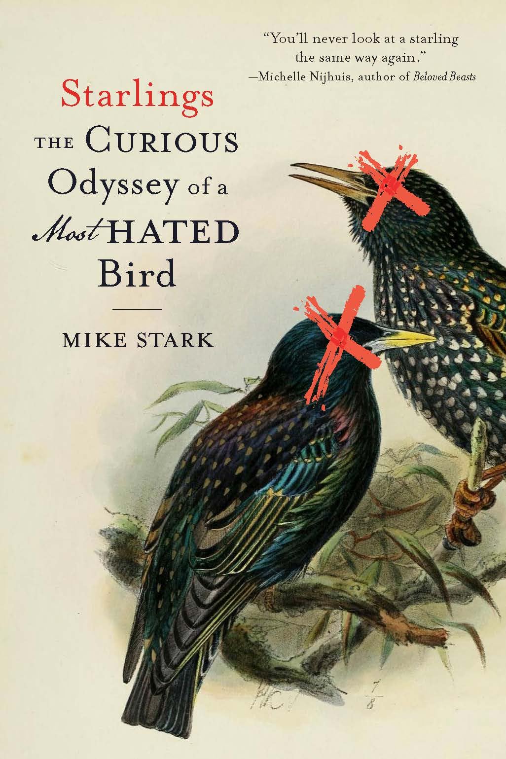 Starlings: The Curious Odyssey of a Most Hated Bird: Stark, Mike