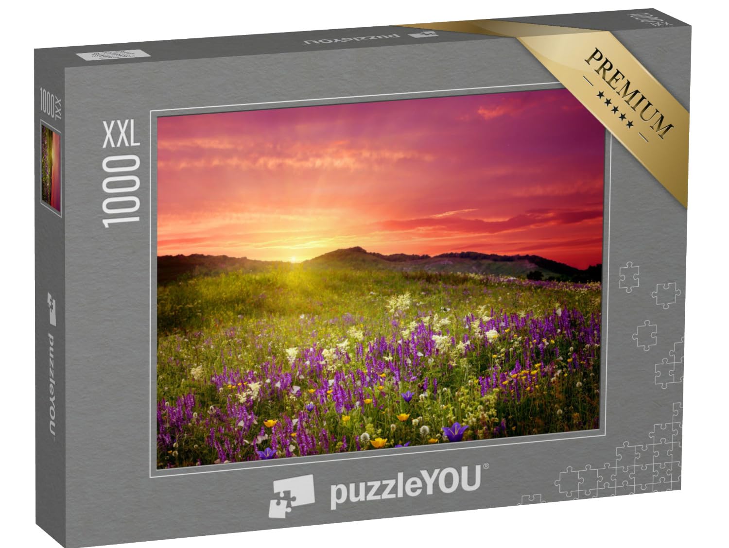 Puzzle 1000 pièces XXL « Paysage de Montagne avec Fleurs »