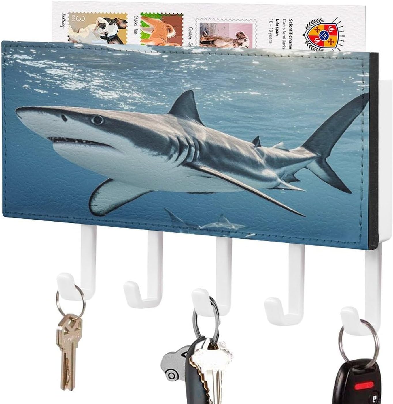Key Holder Wall Mount Key Hanger with 5 Hooks, Decorative Key Rack | Ocean Sea Animal Shark Hanging Key Hooks with Mail Organizer for Wall Living Room Kitchen Bathroom Hallway
