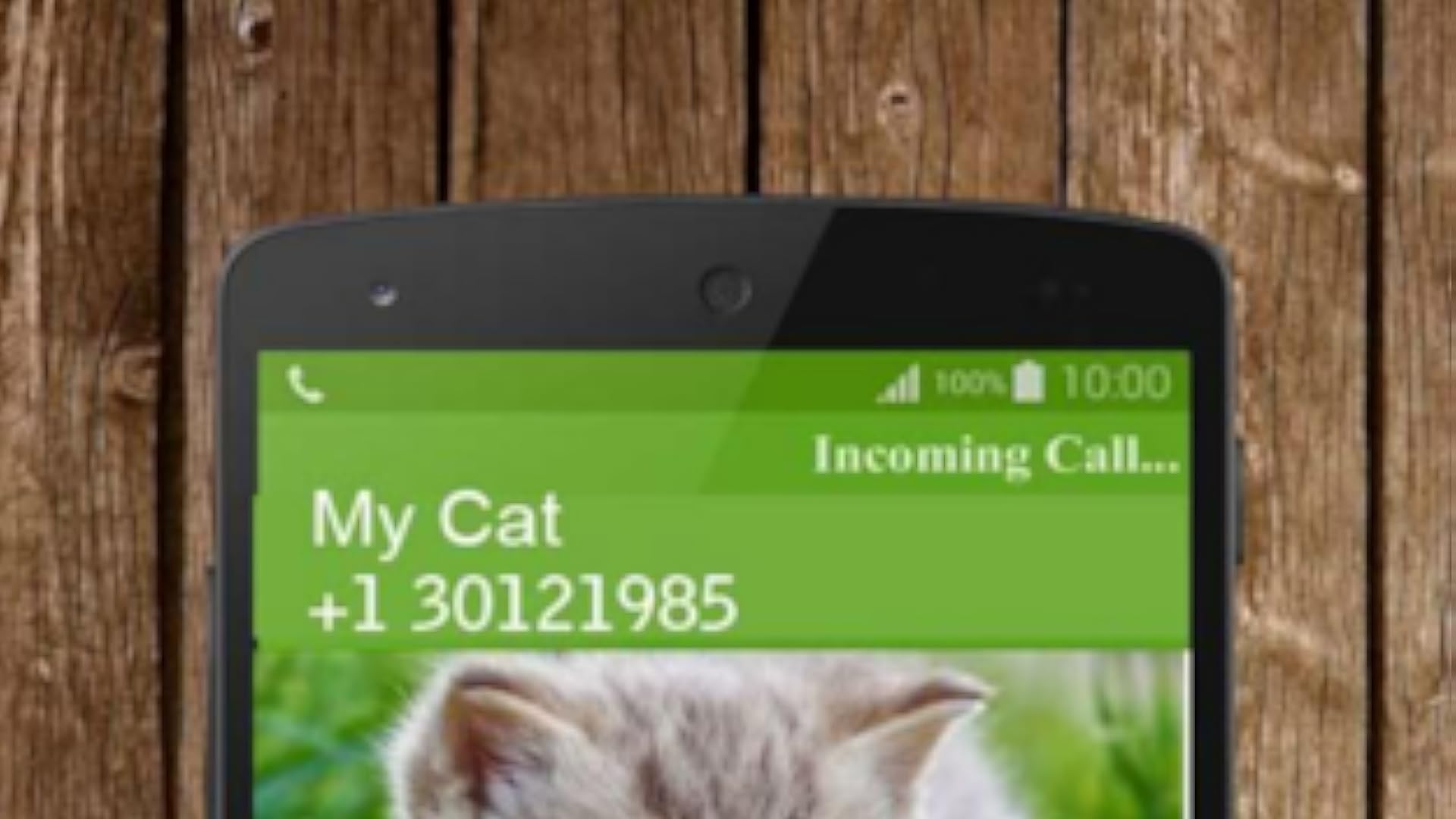 Fake Cat Call Prank Fake Call from Cat Prank (Calling Prank from Cat