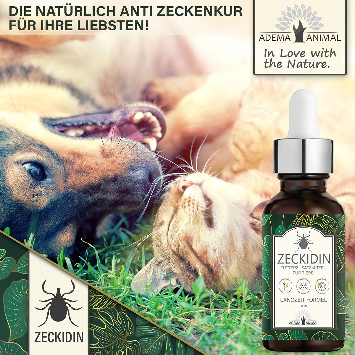 Zeckidin Tropfen 50ml - Zeckenschutz Katze - Pflanzliche Unterstützung für Zeckenschutz Hund & Katze - Pflanzliche Unterstützung - Natürliche Öle für Haut und Fell