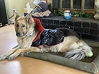 Review Image by C. Schmitt C. Schmitt