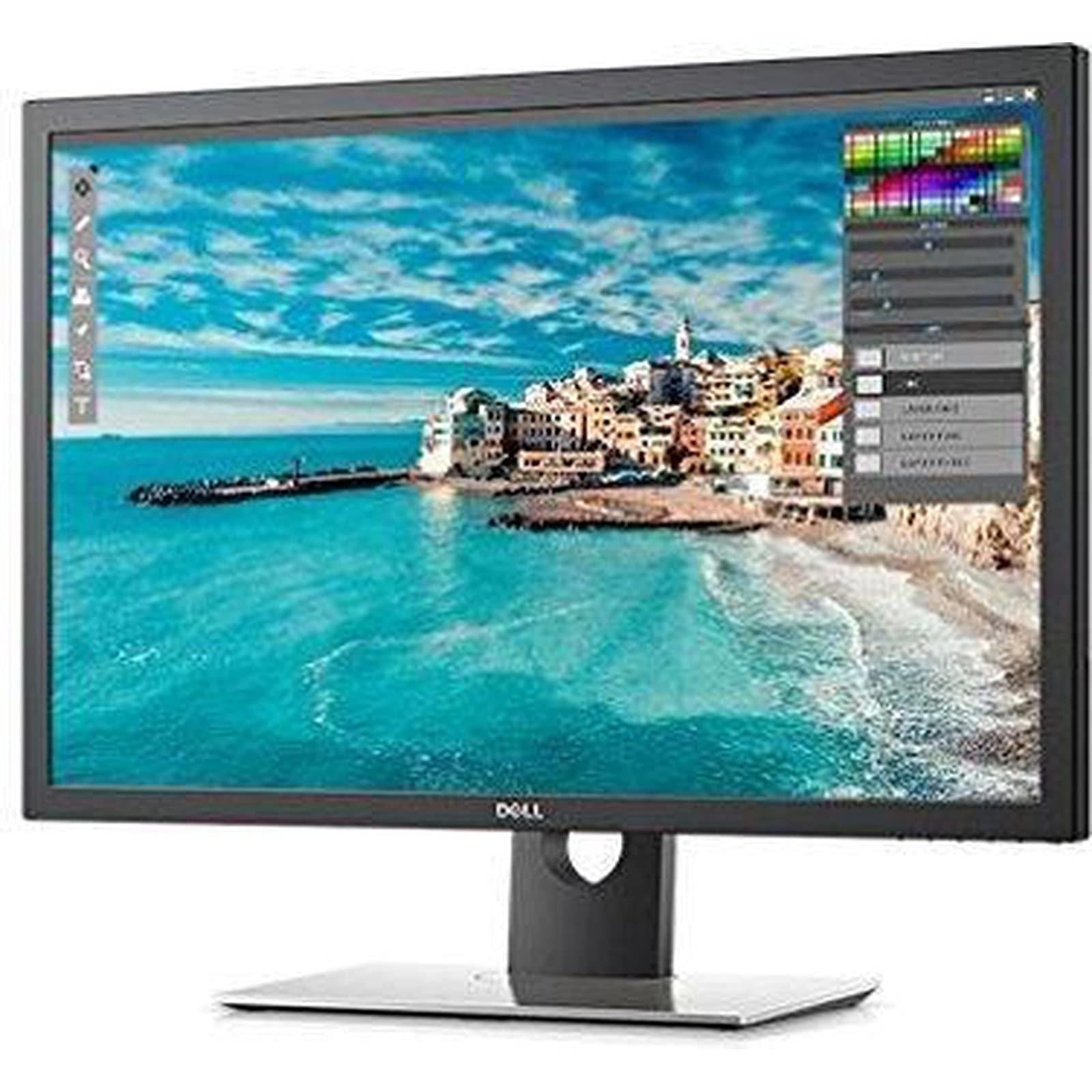 Amazon.com: Dell UP3017 73GTT 30-Inch Screen Led-Lit Monitor