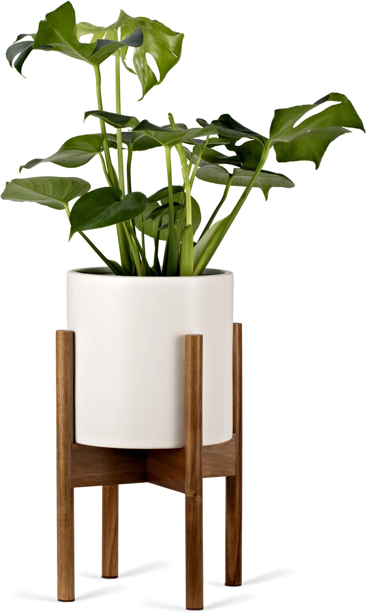 Pinecone Living Mid Century Plant Pot Stand and Modern Ceramic Flower Pot (White) | 10 Inch Flower Pot with Drainage Hole and Plug | Acacia Wood Flower Pot Holder | Planter for Indoor
